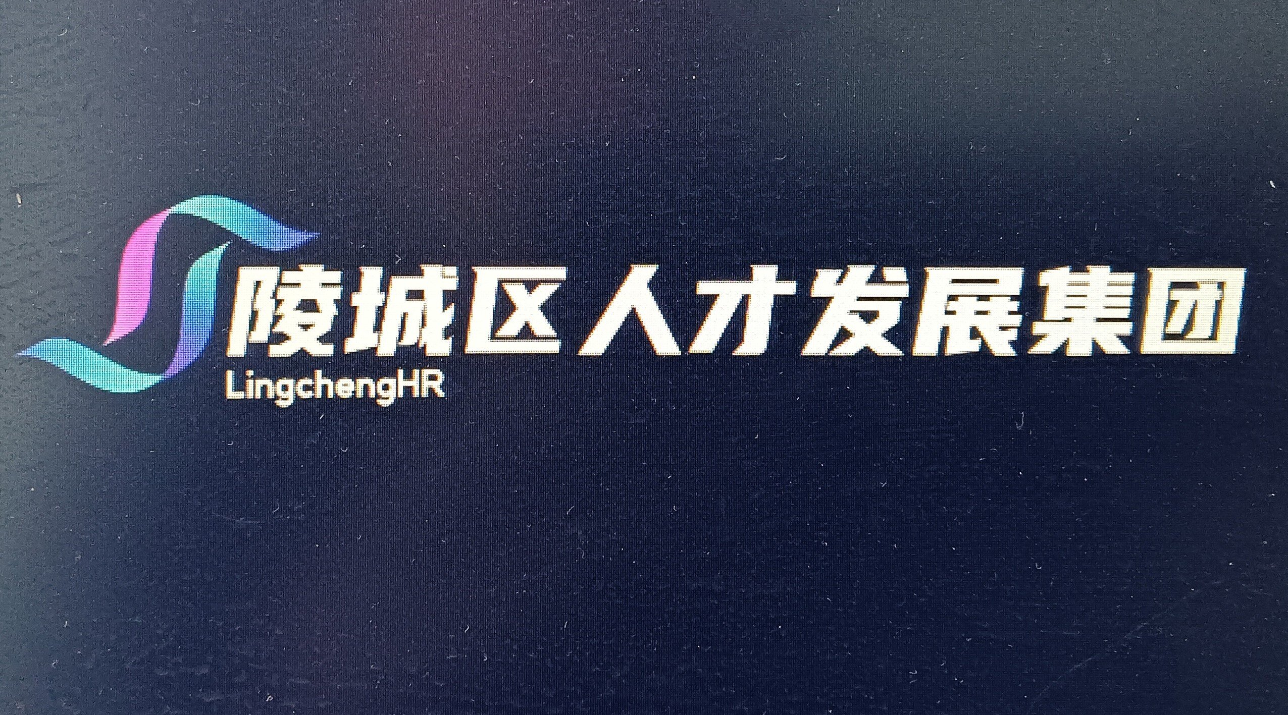 德州市陵城區(qū)人才發(fā)展集團有限公司